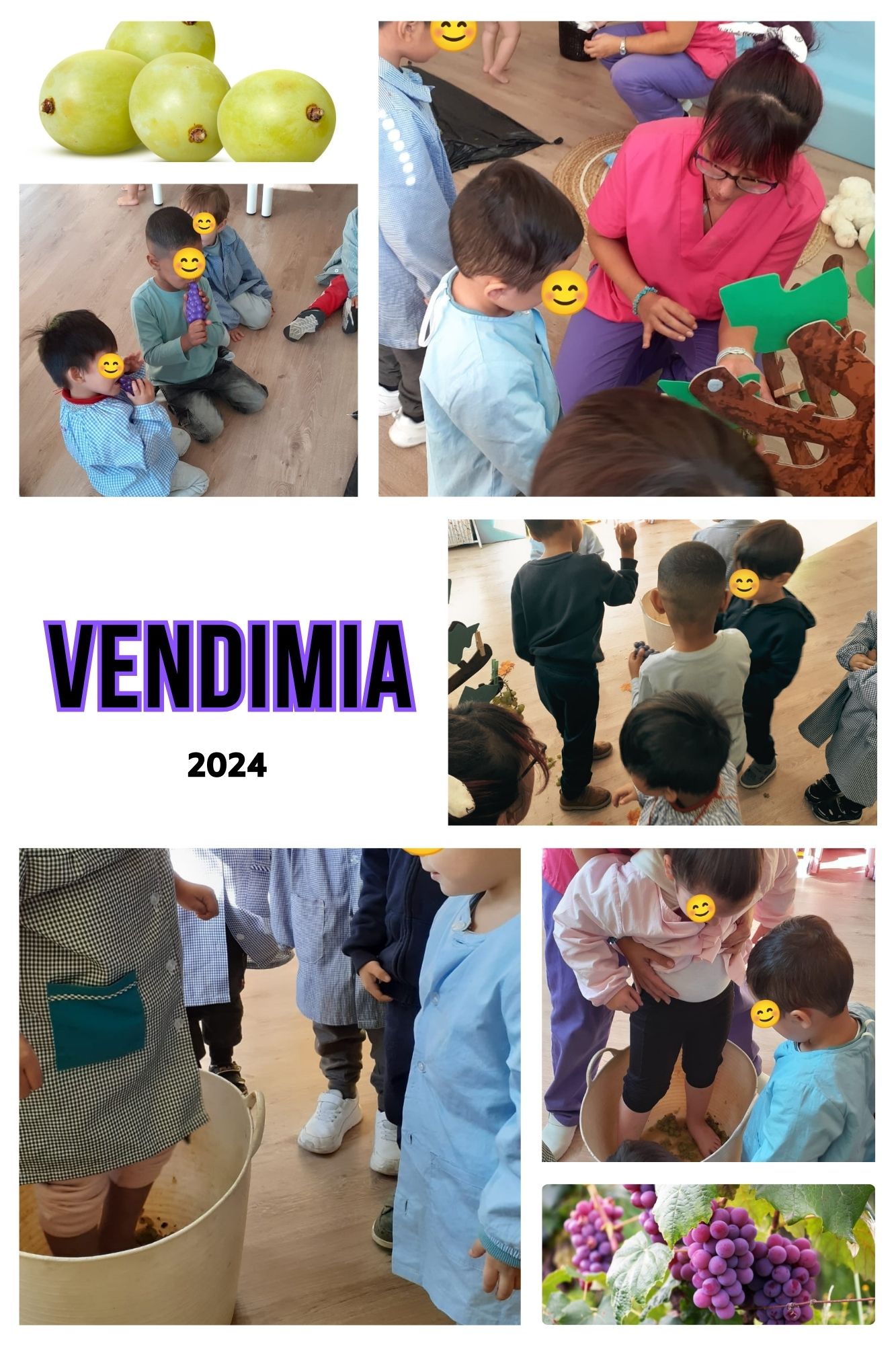 VENDIMIA 2024